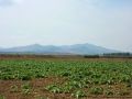 097