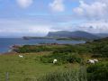 228