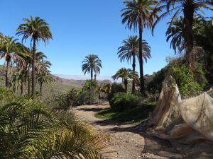 Gran Canaria - Februar 2015
