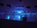 Eisbar