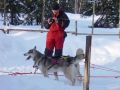 Thomas mit Huskies