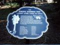 Sherman Tree 1