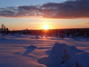 Lappland - Februar 2013